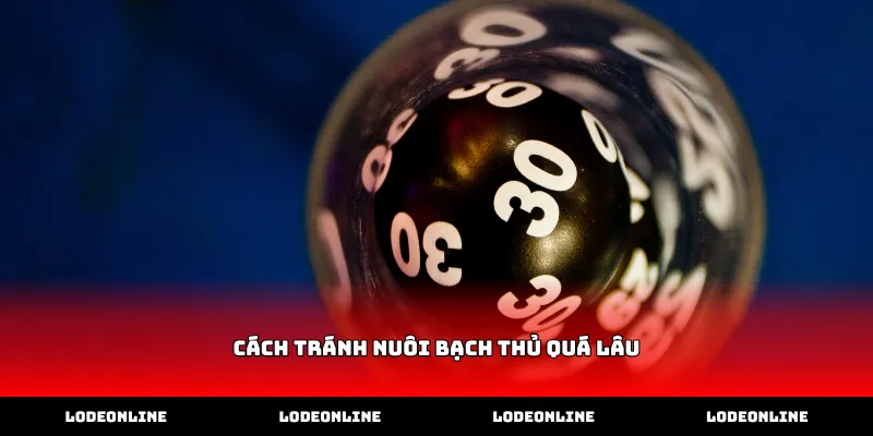 Mẹo áp dụng cách tránh nuôi bạch thủ quá lâu hiệu quả