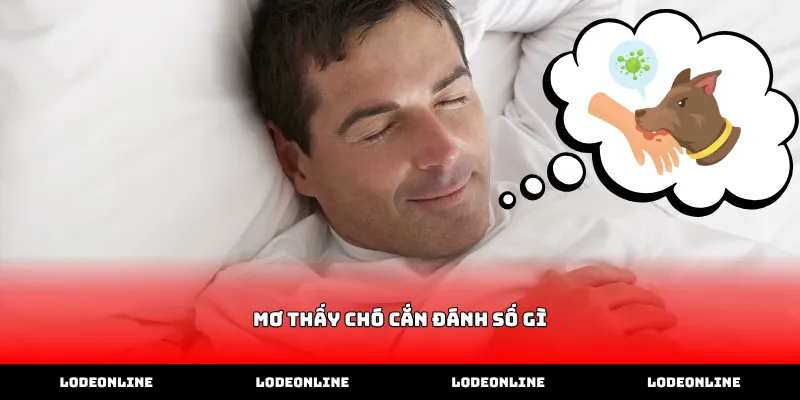Vị trí vết thương khi mơ thấy chó cắn đánh số gì