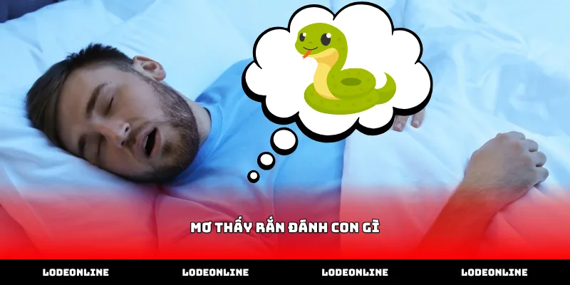 Bí thuật xác định mơ thấy rắn đánh con gì chính xác nhất