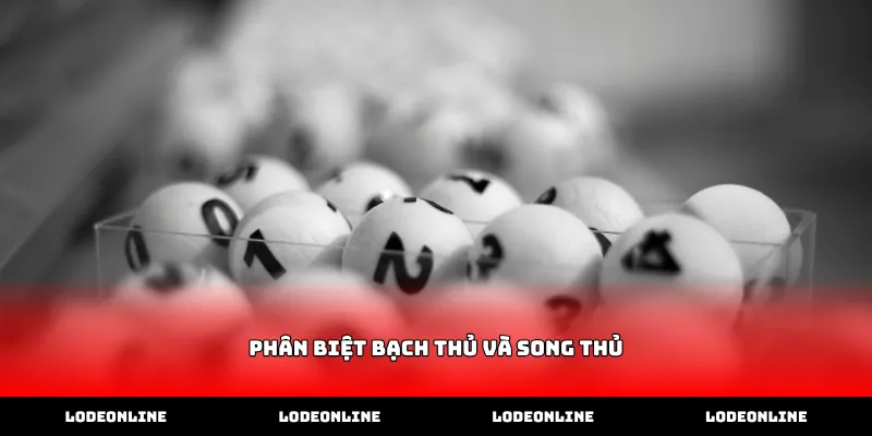 Kỹ thuật phân biệt bạch thủ và song thủ trong dự đoán số